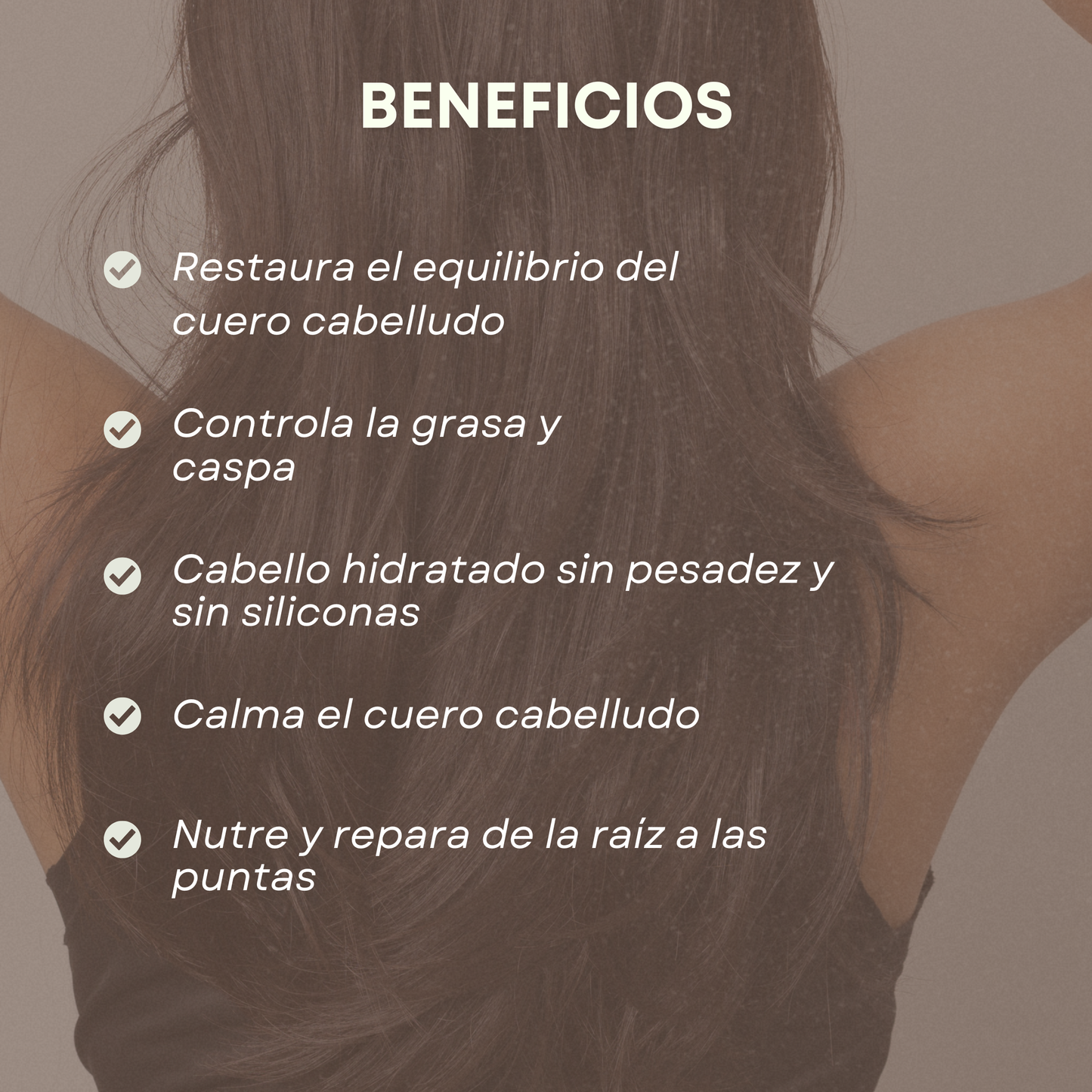 Kit Equilibrio Total