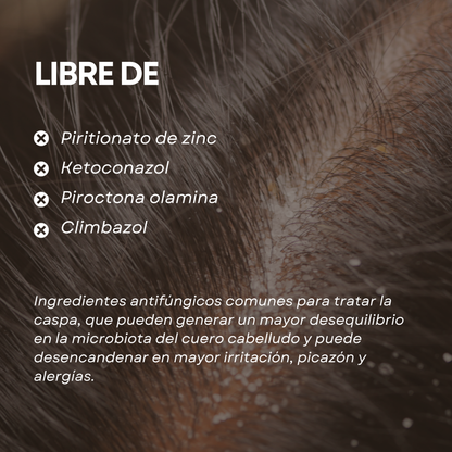 Kit Control Caspa, Grasa y Dermatitis Seborreica